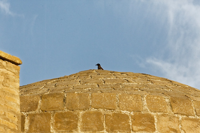 Ballade dans Khiva-066